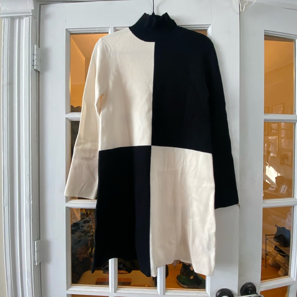 Zara turtle neck dress